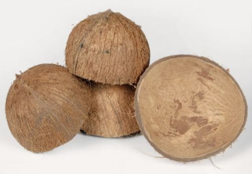 Brown Raw Coconut Shell, For Handicraft, Agricultural, Packaging Type : Bag