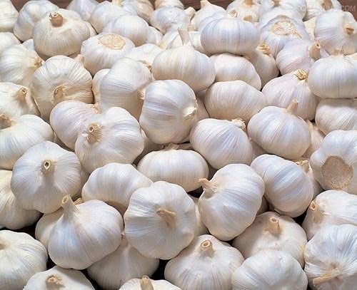 Garlic, Packaging Size : 50 Kg