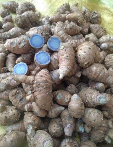 Natural Black Turmeric, Packaging Type : Plastic Bag
