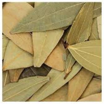 Svm Exports Natural Bay Leaf, For Food Medicine, Cooking, Specialities : Good Quality