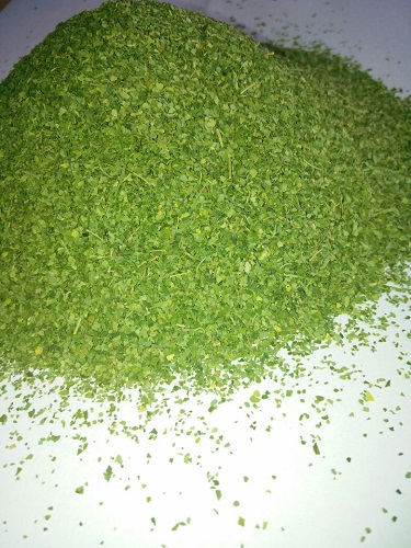 Green Organic Moringa Tea Cut Leaves, For Dietary Supplements