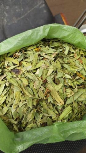 Senna Leaves, For Medicines, Personal, Pharma, Packaging Size : 100kg, 10kg, 15kg, 25kg, 50kg