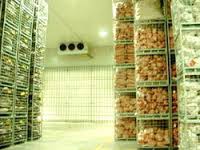 Blue Star Electric Multipurpose Cold Storage System, Voltage : 220V