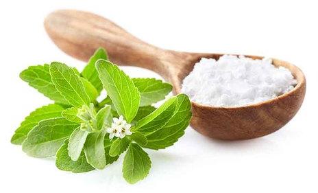 Stevia- The Natural Sweetners, For Medicinal, Food Additives, Beauty, Packaging Size : 5-10kg, 10-20kg