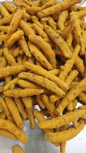 KMGold Handpicked Turmeric Finger, For Cooking, Spices, Packaging Size : 50kg