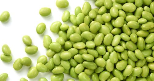 Organic Frozen Soy Bean, Packaging Type : Green, Light Green