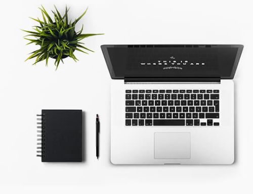 Software Development Services