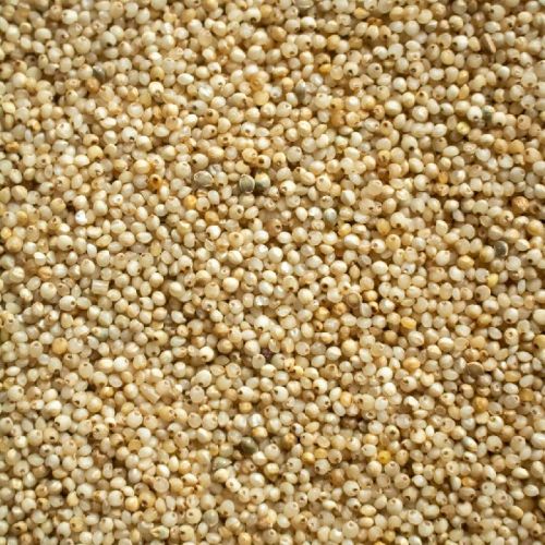 SPT Barnyard Millet, Packaging Size : 25kgs