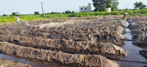 Vermicompost Fertilizer, Color : Dark Brown