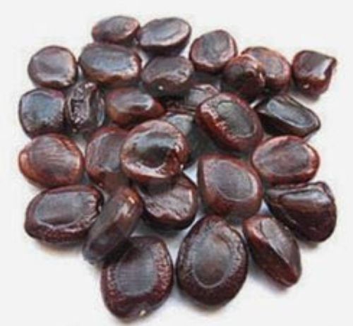 Tamarind Seed, Form : Solid