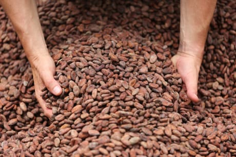 Amul Cocoa Nuts For Cooking, Home, Restaurant, Snacks