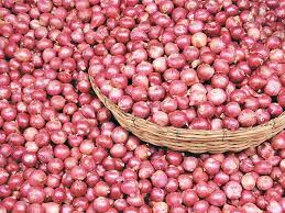 Fresh onions, Packaging Size : 50kg