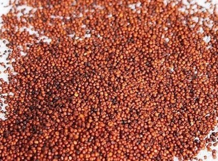 Finger Millet, Feature : Gluten Free