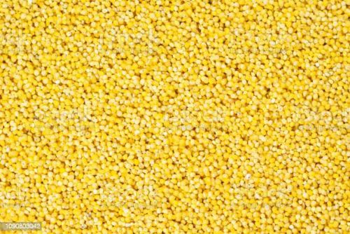 Proso Millet, Certification : FSSAI, ISO 9001:2008