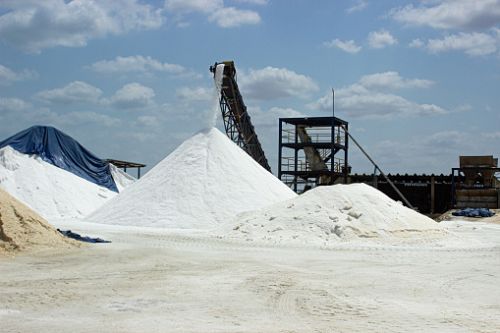 Raw Salt, Color : White