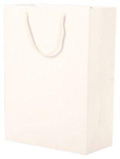 Plain White Paper Bag, For Shopping, Capacity : 2-3 Kg