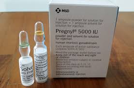 Pregnyl 5000 IU Injections, For Yes, Form : Liquid