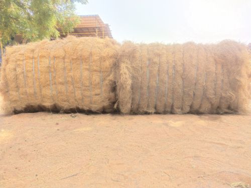 5kg Plain CoirFiber Bales, Packaging Type : Plastic Straps