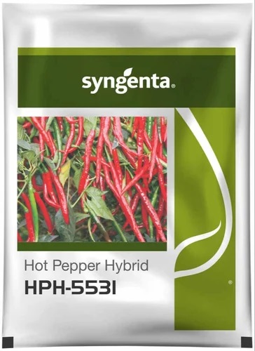 Syngenta Chilli Seeds