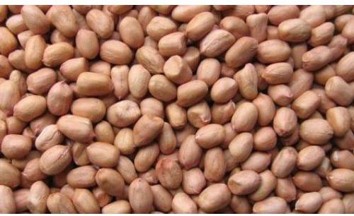 Indian Groundnut Kernel Java 60 70 Counts