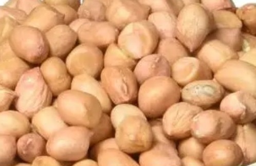 Pro Nature Organic Peanuts Varies, Brand Name : PIYALI AGRO FOOD
