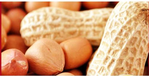 Pro Nature Organic Raw Peanut, For Snacking, Baking, Industrial Use Etc., Feature : Fine Taste, Non Harmful