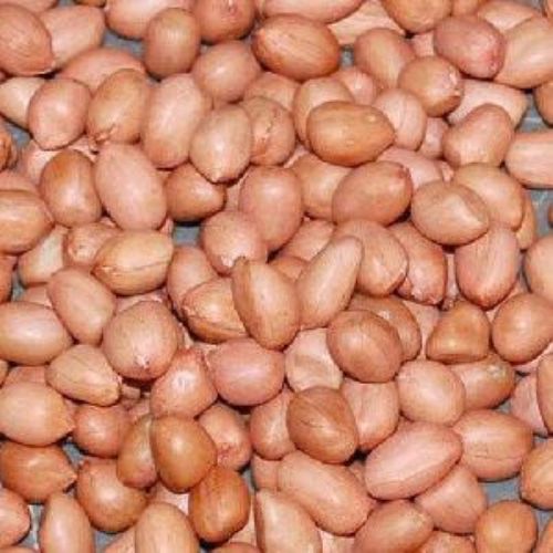 Natural Common Round Shape Groundnut Kernels, For Butter, Cooking Use, Making Oil, Feature : Fine Taste