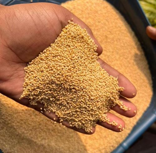 Natural Bird Feed, For Gluten Free, Packaging Size : 50kg