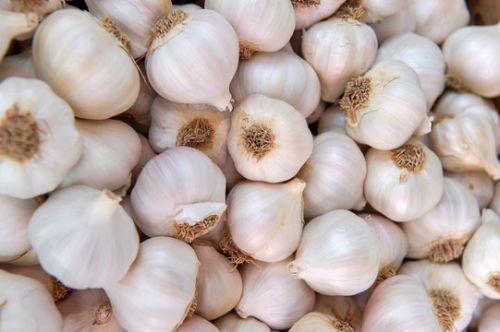 Garlic, For Cooking