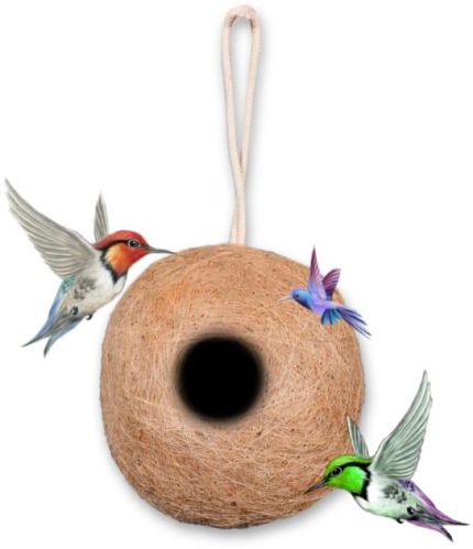 Round Bird Nest, Shape : Standard