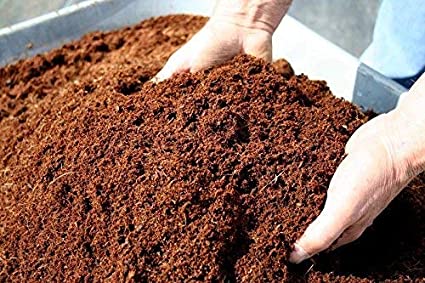 25 Coir Cocopeat Washed Crunch Bale, Color : Brown
