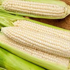 New GMO Yellow Fresh White Maize, For Snacks, Fast Food, Cooking, Packaging Size : 50kg