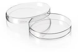 Round Plastic ETO Sterile Petri Dish, Color : Transparent