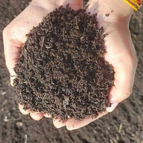 Organic Enriched Vermicompost Fertilizer, Moisture : 10-20%