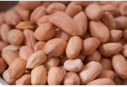 Natural peanut Regular, Brand Name : PIYALI AGRO FOOD