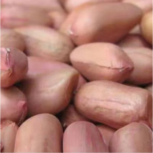 Natural Raw Peanut Kernels, For Ayurvedic Medicine, Cosmetic, Animal Feed, Food Industry, Packaging Type : Vacuum Bags