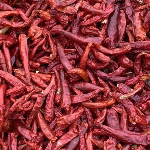 Dry red chilli, Brand Name : 99GD, Certification : HACCP, Imo