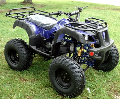 Electric Fully Automatic ATV, Certification : CE Certified