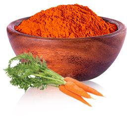 Carrot Powder, Packaging Type : Plastic Bags