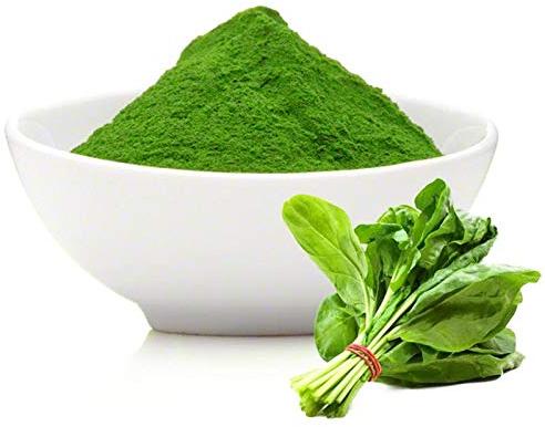 Green Natural Spinach Powder, For Food Industry, Packaging Type : Plastic Bags