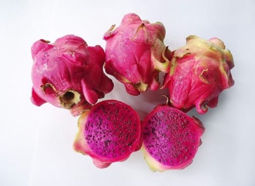 Common Dragon Fruit, For Food Medicine, Human Consumption, Certification : Farmer