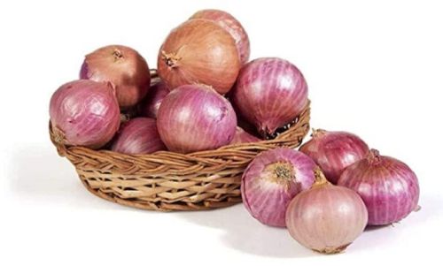 Red Natural Fresh Onion, For Cooking