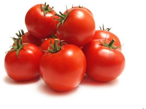 Red Fresh Tomato, For Cooking