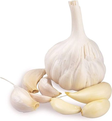 White Round Common Fresh Garlic, For Snacks, Fast Food, Cooking, Style : Solid