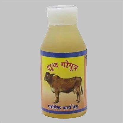 Yellow Liquid Cow Urine, For Clinical Use, Medicine Use, Personal Use, Purity : 99%