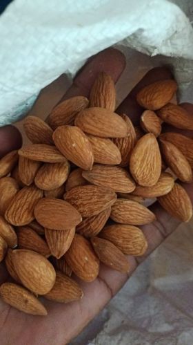 Creamy Top Quality 500 Almond Nuts, For Dry Fruit, Feature : High In Protein