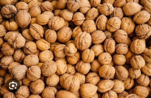 Walnut, For Herbal Formulation, Ayurvedic Formulation