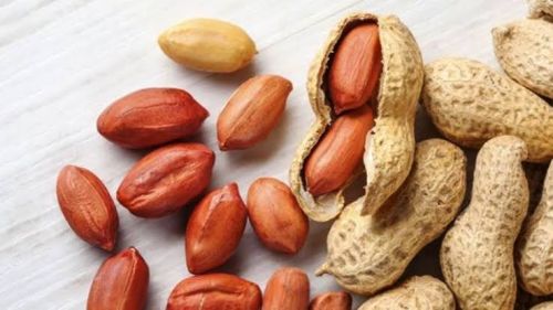 Red Groundnut, For Oil, Cooking, Ayurvedic Formulation, Human Consumption, Taste : Light Sweet