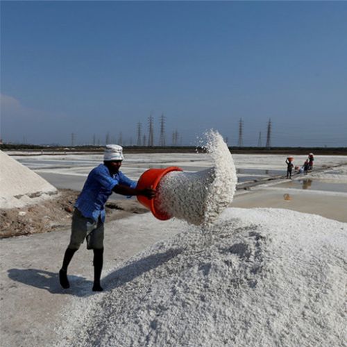 Brown Raw Salt, For Refineries, Form : Powder