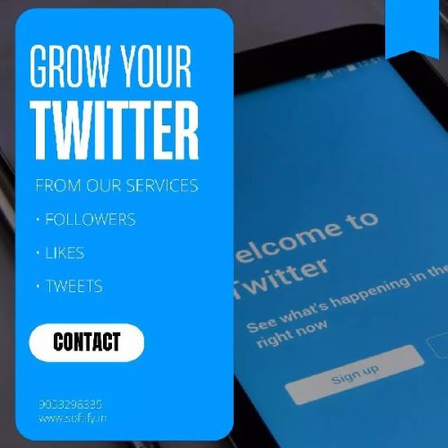 Twitter Marketing Service